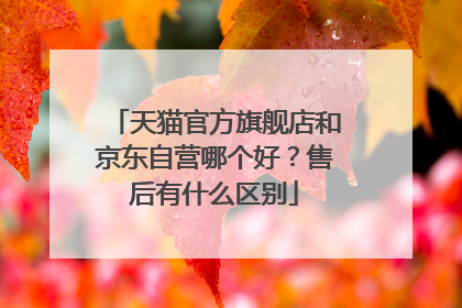 天猫官方旗舰店和京东自营哪个好?售后有什么区别