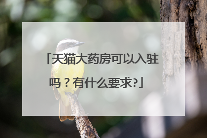 天猫大药房可以入驻吗?有什么要求?