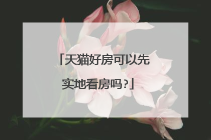 天猫好房可以先实地看房吗?