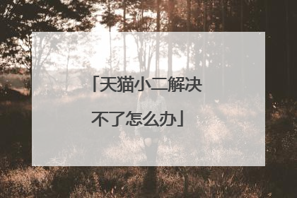 天猫小二解决不了怎么办