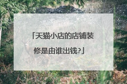 天猫小店的店铺装修是由谁出钱?