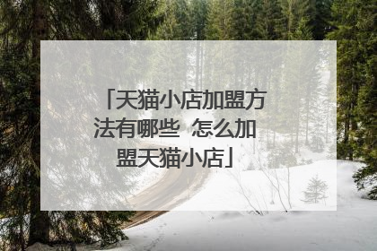 天猫小店加盟方法有哪些 怎么加盟天猫小店
