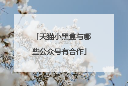 天猫小黑盒与哪些公众号有合作