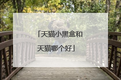 天猫小黑盒和天猫哪个好