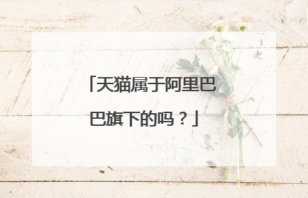 天猫属于阿里巴巴旗下的吗?