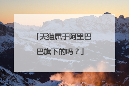 天猫属于阿里巴巴旗下的吗？