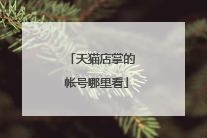 天猫店掌的帐号哪里看