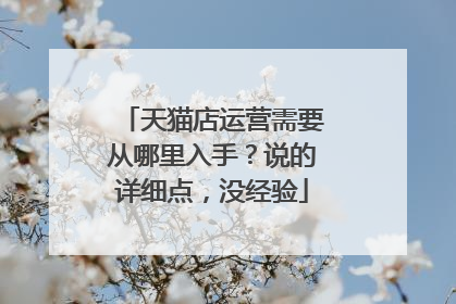 天猫店运营需要从哪里入手？说的详细点，没经验