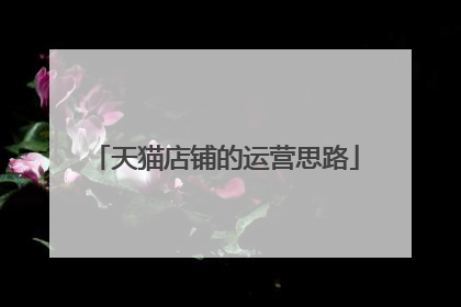 天猫店铺的运营思路
