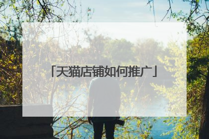 天猫店铺如何推广
