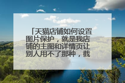 天猫店铺如何设置图片保护,就是我店铺的主图和详情页让别人用不了那种,截图去用都不行