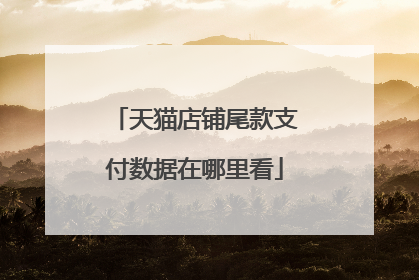 天猫店铺尾款支付数据在哪里看