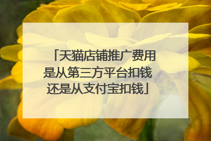 天猫店铺推广费用是从第三方平台扣钱还是从支付宝扣钱