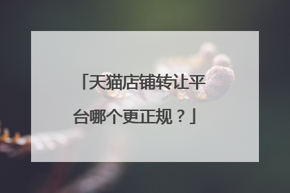 天猫店铺转让平台哪个更正规?