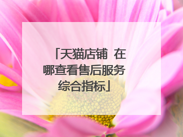天猫店铺 在哪查看售后服务综合指标