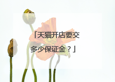 天猫开店要交多少保证金?