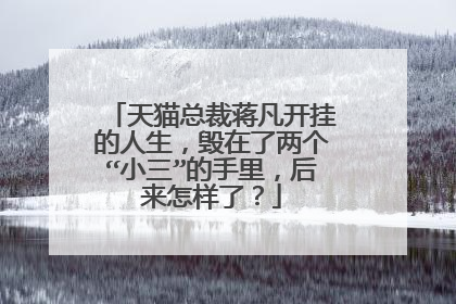 天猫总裁蒋凡开挂的人生,毁在了两个“小三”的手里,后来怎样了?