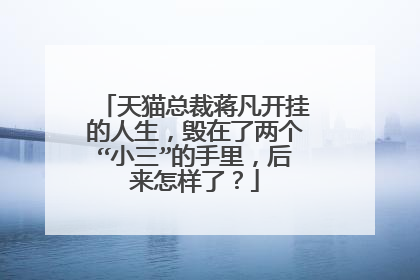 天猫总裁蒋凡开挂的人生,毁在了两个“小三”的手里,后来怎样了?