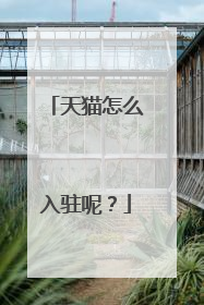 天猫怎么入驻呢?