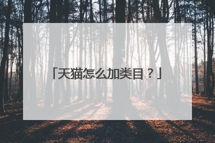 天猫怎么加类目?