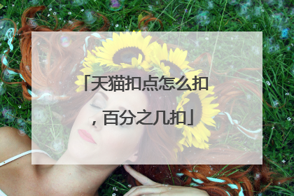 天猫扣点怎么扣，百分之几扣