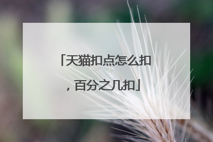 天猫扣点怎么扣，百分之几扣