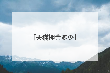 天猫押金多少