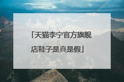 天猫李宁官方旗舰店鞋子是真是假