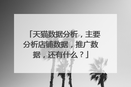 天猫数据分析，主要分析店铺数据，推广数据，还有什么？