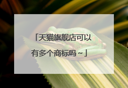 天猫旗舰店可以有多个商标吗～