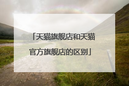 天猫旗舰店和天猫官方旗舰店的区别