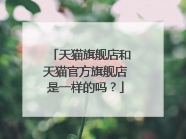 天猫旗舰店和天猫官方旗舰店是一样的吗?
