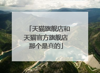 天猫旗舰店和天猫官方旗舰店那个是真的