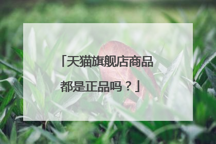 天猫旗舰店商品都是正品吗?