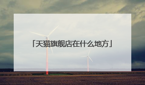天猫旗舰店在什么地方
