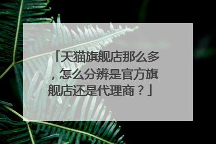 天猫旗舰店那么多，怎么分辨是官方旗舰店还是代理商？