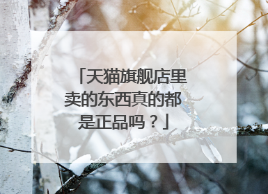 天猫旗舰店里卖的东西真的都是正品吗?