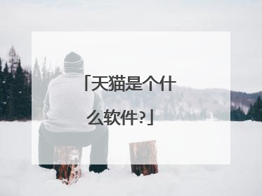 天猫是个什么软件?