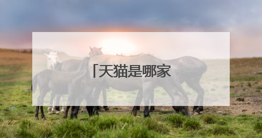 天猫是哪家公司控股的