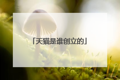 天猫是谁创立的