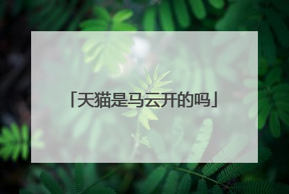 天猫是马云开的吗