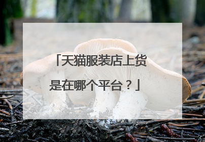 天猫服装店上货是在哪个平台？