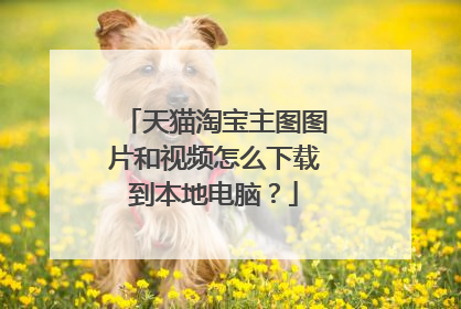 天猫淘宝主图图片和视频怎么下载到本地电脑?