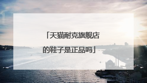 天猫耐克旗舰店的鞋子是正品吗
