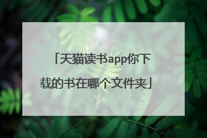 天猫读书app你下载的书在哪个文件夹