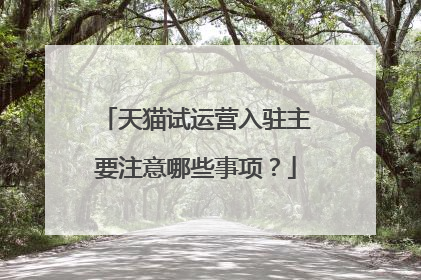 天猫试运营入驻主要注意哪些事项?