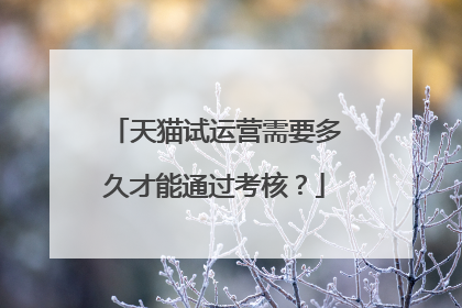 天猫试运营需要多久才能通过考核?