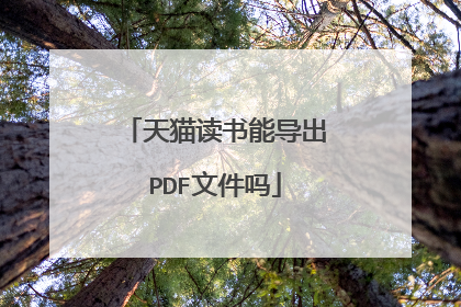 天猫读书能导出PDF文件吗