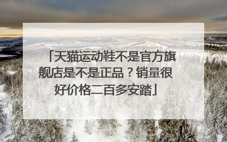 天猫运动鞋不是官方旗舰店是不是正品?销量很好价格二百多安踏