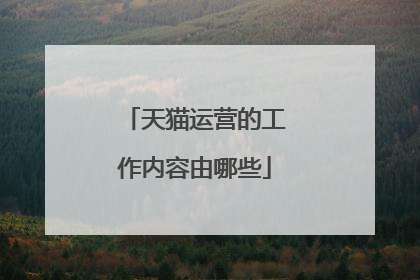 天猫运营的工作内容由哪些